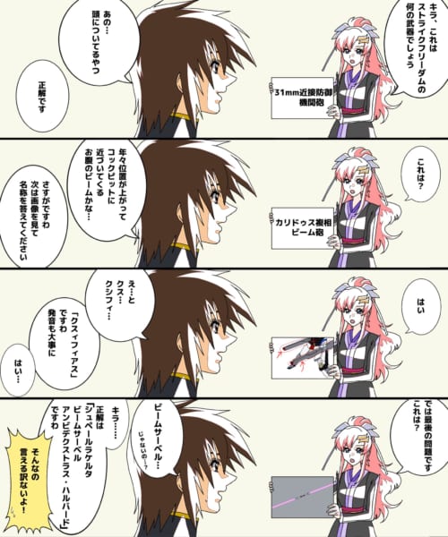 ガンダムseed 種のmsって武器の名前覚えるの面倒だよね ガンダムブログ 情報戦仕様