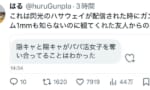 【画像】ガンダム1ミリも知らない人が見た閃光のハサウェイの感想がこれｗｗｗｗｗｗｗｗｗ