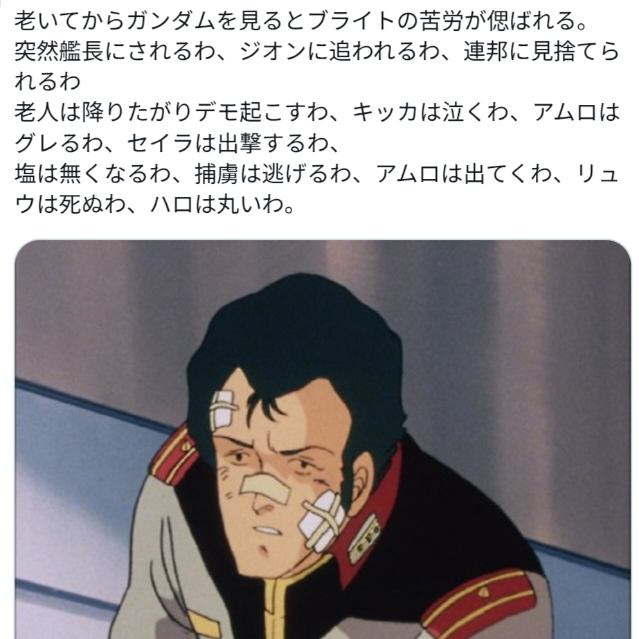 【画像】大人になればなるほどわかるブライトさんの辛い立場…